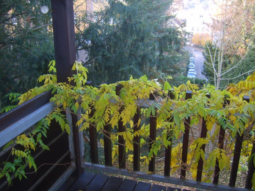 Garden Apartment Baden-Baden Eksteriør bilde